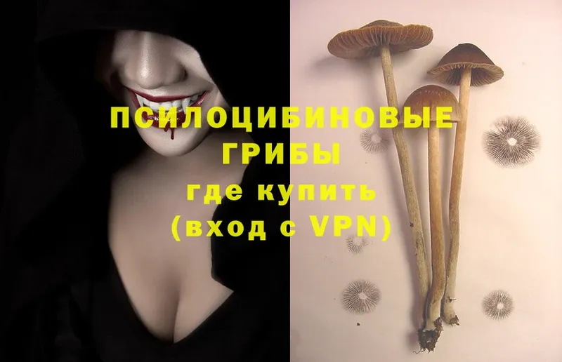 Галлюциногенные грибы MAGIC MUSHROOMS Кириллов